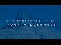 Capture de la vidéo The Pineapple Thief - Your Wilderness (Teaser)