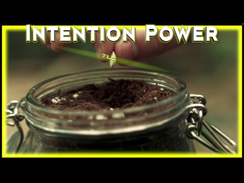 Intention Power Rj Shine ✋✨🤚 VEME MEME