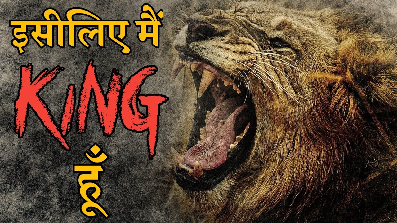 The Lion Mentality - Best Motivational Video | Be A Lion | Lion Motivation | Motivational Wings
