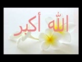 دقيقه من فضلكم ألا بذكر الله تطمئن القلوب دقيقه من فضلكم ألا بذكر الله تطمئن القلوب