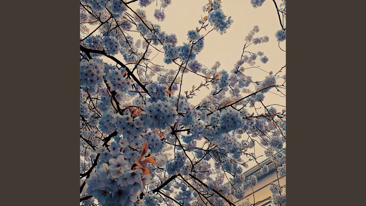 Watch flowers on YouTube Watch flowers on YouTube