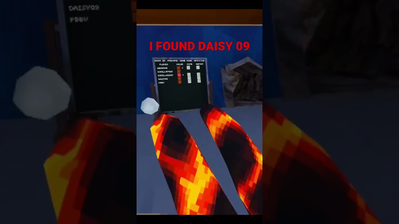 I Found The Really Daisy09 This Was A Very Old Draft Gorillatag Vr Oculus Oculusquest2