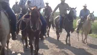 Fiestas Triunfo Santa Rosa 2013!!!!!