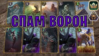 GWENT | МОЩНЫЕ ВОРОНЫ | СПАМ ВОРОН (Пламя славы) — гайд | Гвинт Патч 12.5