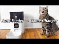 Automatic Pet Feeder: Wopet Review