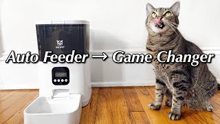 Automatic Pet Feeder: Wopet Review