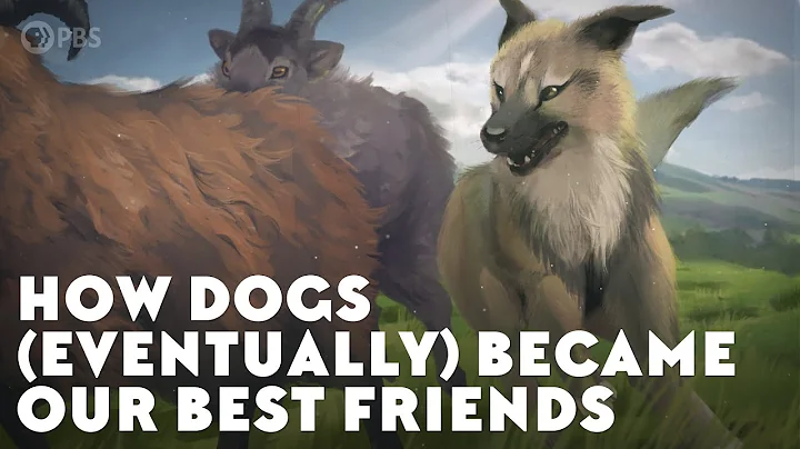 How Dogs (Eventually) Became Our Best Friends - DayDayNews