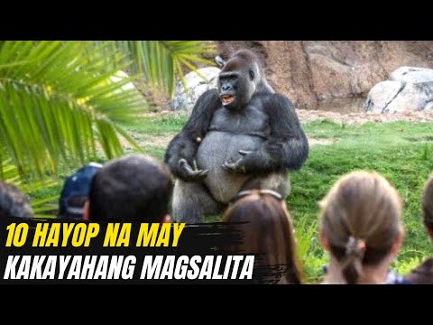 10 HAYOP NA MAY KAKAYAHANG MAGSALITA | Malayang Pananaw