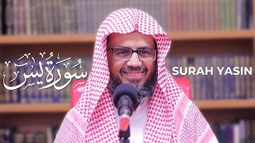 Surah Yasin Sheikh Abu Bakr Al Shatri | Masjid al-Humera شيخ أبوبكر الشاطري   سورة يس