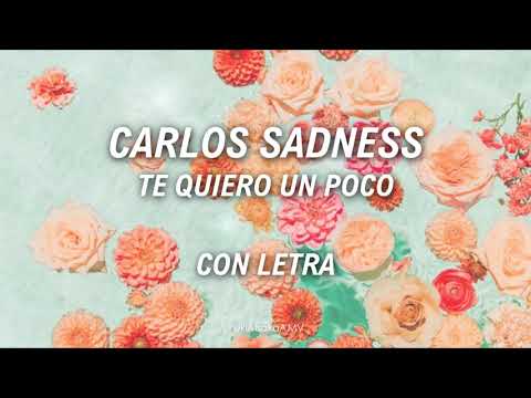 Carlos Sadness - Te quiero un poco | CON LETRA