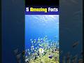 5 Amazing Facts In Hindi | The Bird That Sleeps While Flying 🤯 | #facts #shorts #wildlife #nature