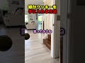 娘がクッキーを手に入れる方法