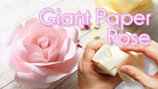 -How to Make Giant Paper Rose