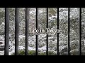 ENG/ 도쿄 브이로그 | 겨울과 봄 사이 그 어디쯤 ❄️🌸 10년 만의 폭설, 요즘 뜨는 로컬 맛집, 아자부다이 힐즈, 에르메스 블루박스 언박싱, 도쿄의 2월 일상 기록