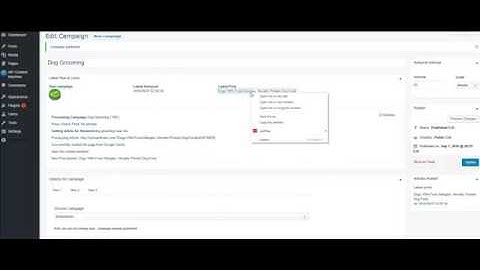 WP Content Machine Review