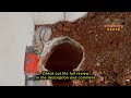 Review VEVOR Demolition Jack Hammer, MAX 2200W Electric Jackhammer Heavy Duty, 1350 BPM Concrete Bre