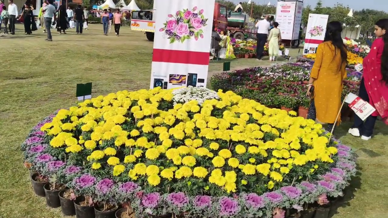 Part 2 Noida Sector 33a Basant Utsav Kedarnath Temple 30 feet high made of bamboo and flowers show #