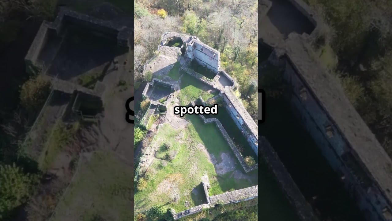 Почему немецкий лес скрывает свастику