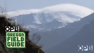 Invasive Grasses Threatened Mount St. Helens' Scientific 'Laboratory'