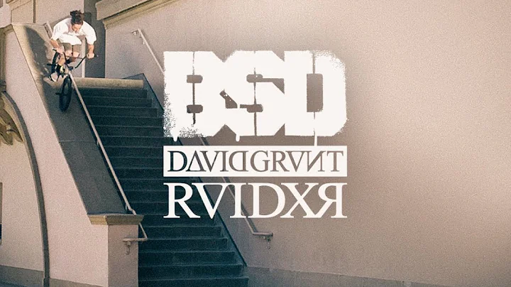 BSD BMX - David Grant - RAIDER