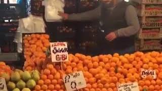 Mandalina Cı Reisin Tüm Şarkıları