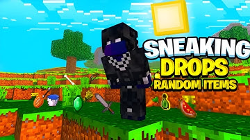Minecraft But Sneaking Drops Random Items | DG Verse