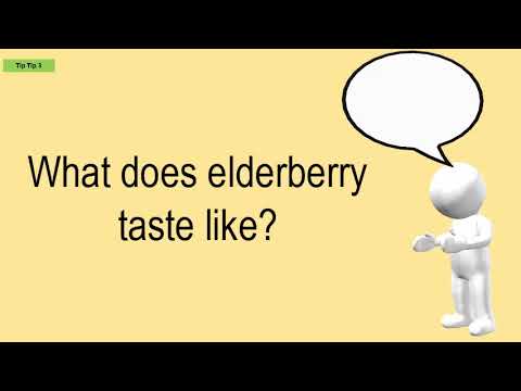 What Does Elderberry Taste Like?