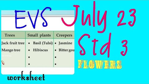 Victers channel class 3 EVS worksheet today, victers channel std 3 evs, std 3 evs unit 1,std 3 today