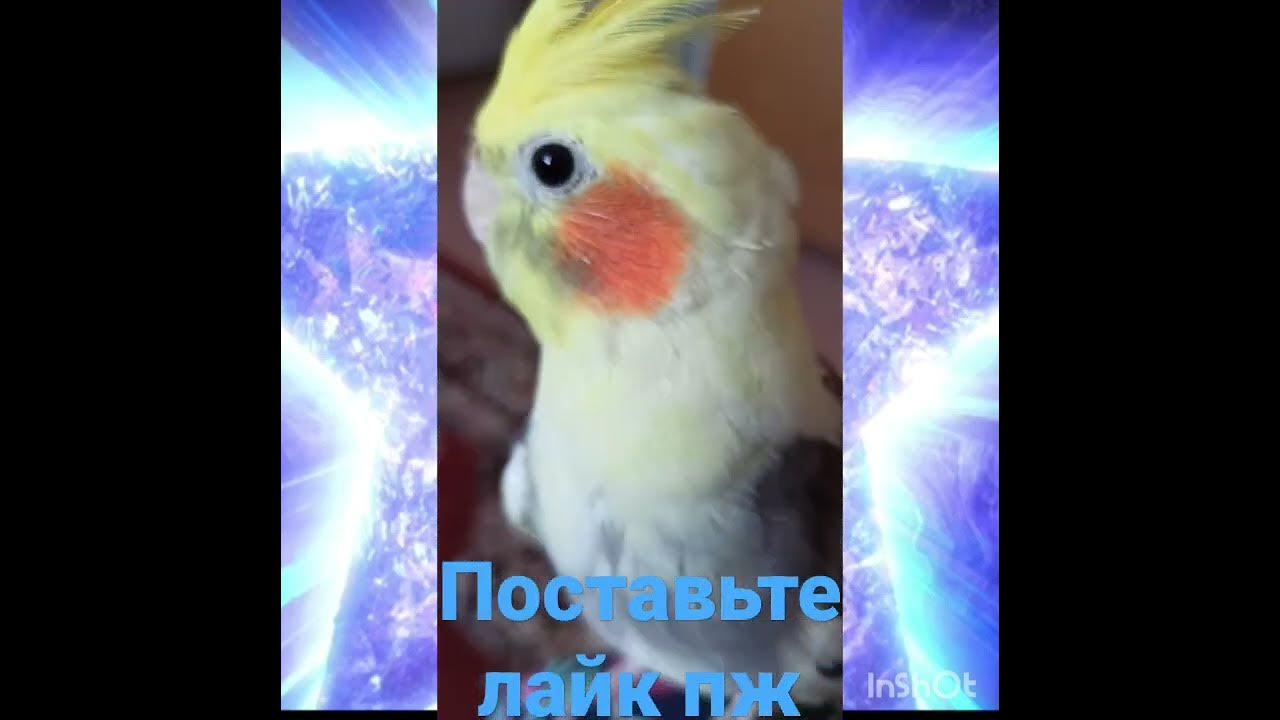 милые глазки - YouTube