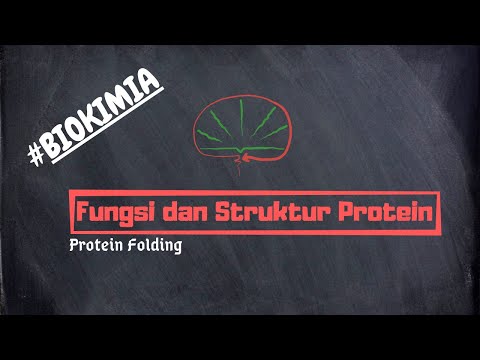 Video: Mengapa ikatan hidrogen sangat penting untuk struktur protein?