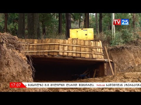 დენდროლოგიურ პარკში ხეების გადატანას კვლავ ათობით ხე ეწირება