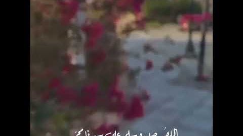 (ان الله وملائكته يصلون على النبي) القارئ #عبد_الرحمن_مسعد سورة #الاحزاب 💙