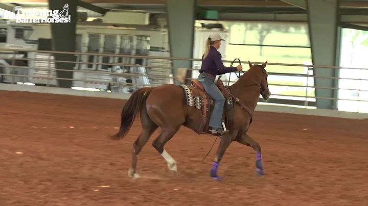 Ivy Hurst Fixing a Shouldering Horse