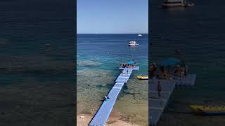 Egypt Hilton Sharks bay Red sea Sharm El Sheikh 
