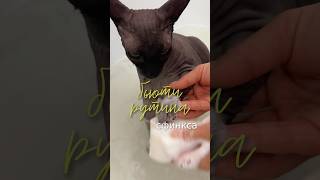 Арт на мыло → #WW146352 🧼