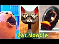 Cat Noodle - Cute and Funny Animation from TikTok (@noodle_and_bun) NEW