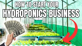 How to Start a HYDROPONIC Business FAST!