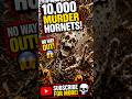 Skeleton vs Murder Hornets #skeleton #shorts #youtubeshorts #viral #subscribe