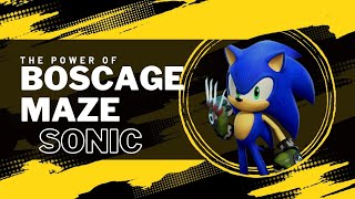 Rating All Characters In Sfsb - Episode 1 Boscage Maze Sonic