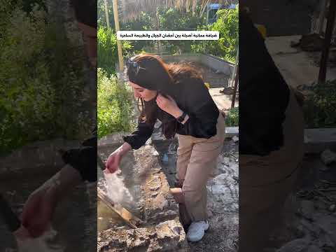 شكرا من القلب للعائلة الكريمة على كرم الضيافة فعلا كانت تجربة ما بتنتسى