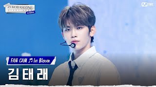 [직캠/4K] ZEROBASEONE 김태래 | ♬In Bloom (ZEROBASEONE KIM TAERAE FAN CAM) #ZEROBASEONEDEBUTSHOW:InBloom