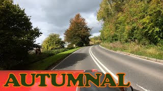 Driving in my Car 20251005 Looking for Autumnal Leaves