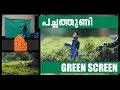 Green Screen Tutorial | malayalam | After Effects | Chroma Key