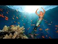 Let’s help save the oceans before all creatures become mythical |  Mermaid Melissa