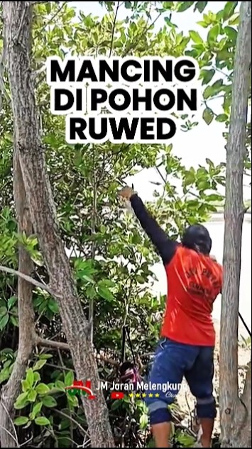 Spot Unik, Ganti Gaya, Ganti Posisi, Ganti Spot, Naik Pohon Dimana ikan akan dikejar Angel Sejati