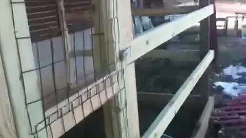 Video 677291: bengal cat, snow spotted bengal, blue bengal, cat outdoor