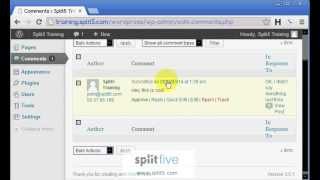 WordPress How-To 8: Comments