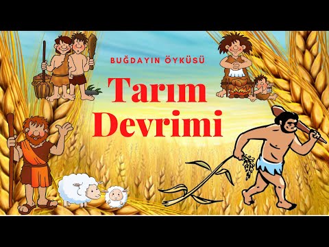 Video: Neolitik tarım devrimine ne sebep oldu?