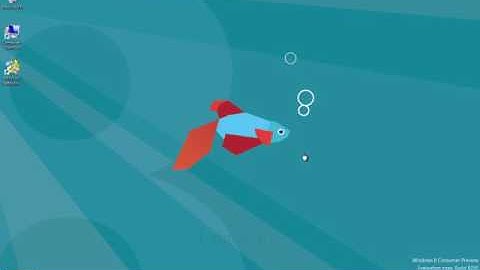 Copy disk to backup Windows all information (Works quickly!)