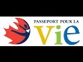 Vido 1  introduction au programme